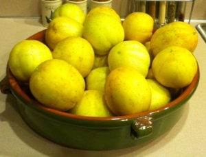 lemon cucumbers